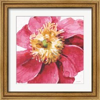 Framed 'Pink Garden VI' border=