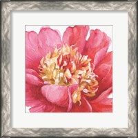 Framed 'Pink Garden V' border=