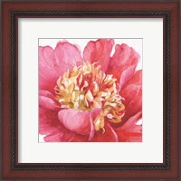 Framed 'Pink Garden V' border=