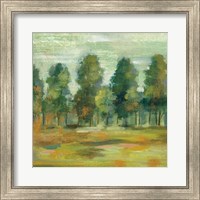 Framed 'Forest II' border=