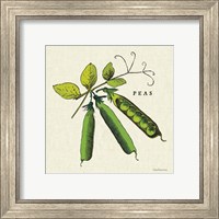 Framed 'Linen Vegetable IV v2' border=