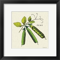 Framed 'Linen Vegetable IV v2' border=