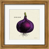 Framed 'Linen Vegetable III v2' border=