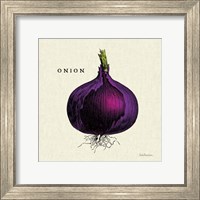 Framed 'Linen Vegetable III v2' border=