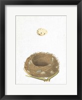 Spring Nest III Framed Print
