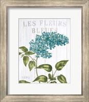 Framed 'Fleuriste Paris V' border=