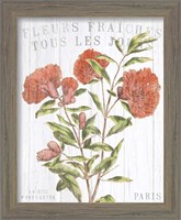 Framed 'Fleuriste Paris III' border=