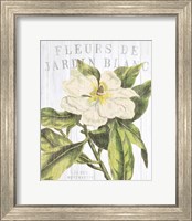 Framed 'Fleuriste Paris II' border=