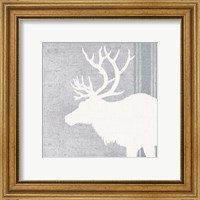 Framed 'Woodland Animal II' border=