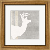 Framed 'Woodland Animal I' border=