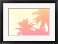 Framed Coconut Palm Trees