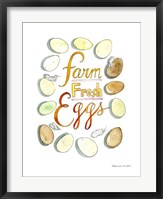 Framed Farm Fresh Eggs