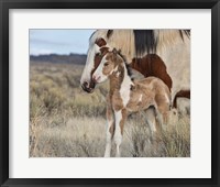 Framed Lady Braveheart & Filly