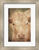 Framed Henrietta