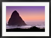 Framed Whaleshead Beach II