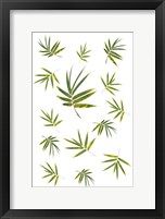 Framed Bamboo Leaf Collection