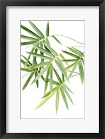 Framed Bamboo Bouquet