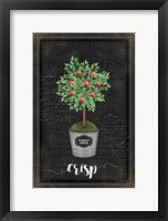 Framed Apple Topiary