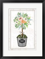 Framed Floral Topiary II