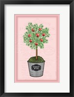 Apple Topiary - Pink Framed Print