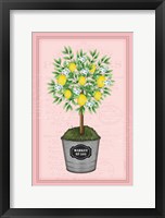 Lemon Topiary - Pink Framed Print