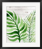 Banana Leaf II Framed Print