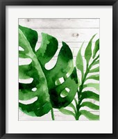 Framed Banana Leaf III