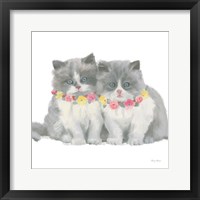 Framed Cutie Kitties VIII