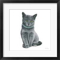 Cutie Kitties VI Framed Print