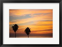 Framed Sunset Palms III