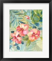 Framed 'Hibiscus Garden III' border=