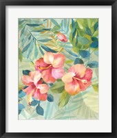 Framed Hibiscus Garden III