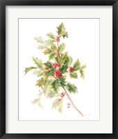 Floursack Holiday IX Framed Print