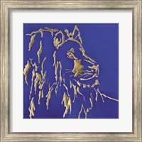 Framed 'Gilded Lion Indigo' border=