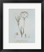 Conversations on Botany III Blue Framed Print