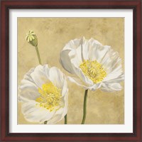 Framed 'Poppies on Gold I' border=