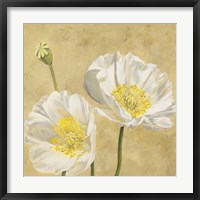 Poppies on Gold I Framed Print