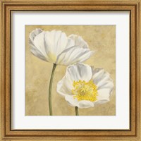 Framed 'Poppies on Gold II' border=