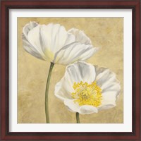 Framed 'Poppies on Gold II' border=