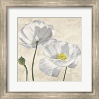 Framed 'Poppies in White I' border=