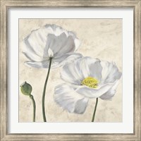 Framed 'Poppies in White I' border=