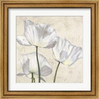 Framed 'Poppies in White II' border=