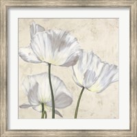 Framed 'Poppies in White II' border=