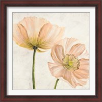 Framed 'Poppies in Pink II' border=