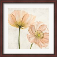 Framed 'Poppies in Pink II' border=