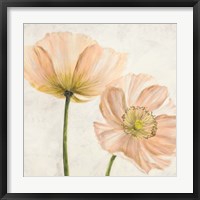 Framed 'Poppies in Pink II' border=