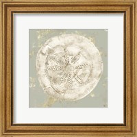 Framed 'Cone Shells I' border=