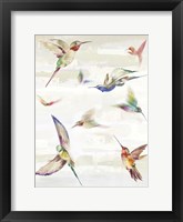 Humming II Framed Print