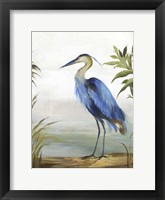 Framed Blue Heron