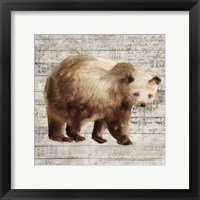 Framed 'Crossing Bear I' border=